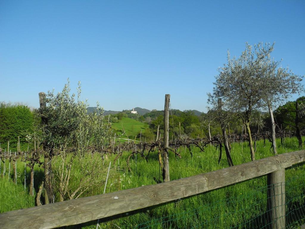 فيلا Agriturismo Cornolere Castelcucco المظهر الخارجي الصورة